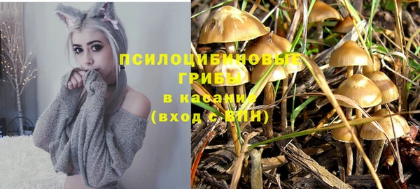 не бодяженный Каменск-Шахтинский