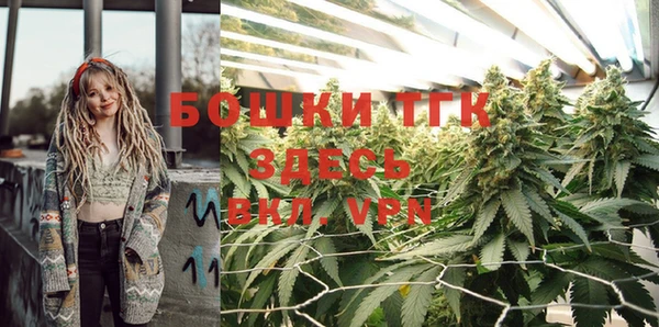 ешки Иннополис